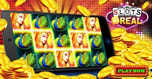 7qbet